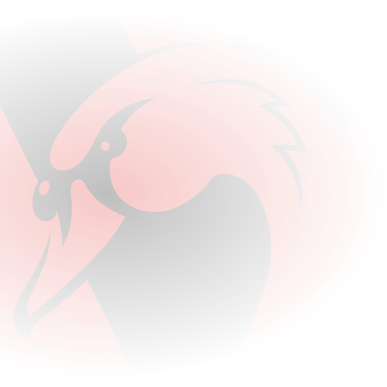 Official AFL Website Of The Gold Coast SUNS official-afl-website-of-the-gold-coast-suns
